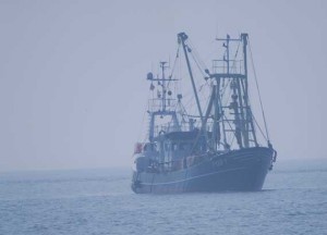 Fischerboot bei der Rückkehr in den Hafen