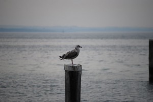Stille am Meer