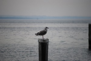 Stille am Meer