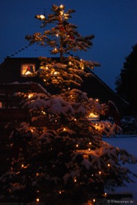 Beleuchteter Tannenbaum