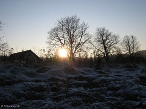 Wintersonne