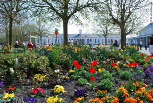 fruehling Frühling auf Norderney