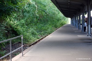 Überwuchertes Gleis am Strandbahnhof Travemünde