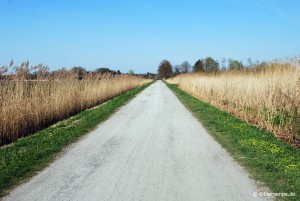 Foto-Standpunkt 2 im Frühling