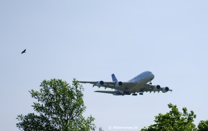 Airbus A380