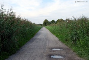 Foto-Standpunkt 2 im Sommer