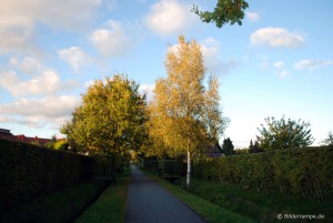 herbst2010 Der Herbst kommt