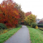 Jahreszeiten -  Herbst