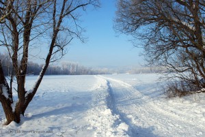 Winterliche Landschaft