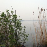 Der Herbst beginnt