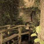 Stille in der Natur