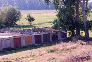 Idylle nach dem Sturm