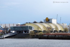 König der Löwen im Hamburger Hafen