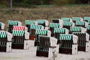 Roter Strandkorb von Grün umzingelt