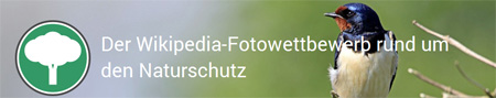 Wikipedia-Fotowettbewerb