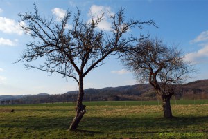 Zusammen stehen