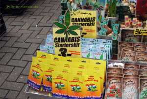 Cannabis Starterset