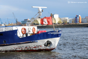 Hamburg Flagge an einem Hafenschiff